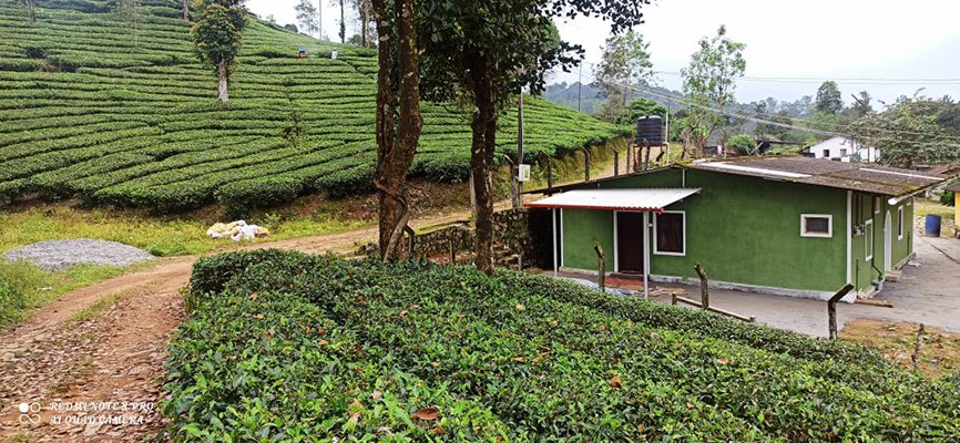 This "Valparai Green Building" prioritizes a harmonious blend with its surroundings, promising an eco-conscious stay without compromising on modern amenities.