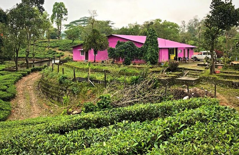 Falls Cottage - KGR Resort Valparai